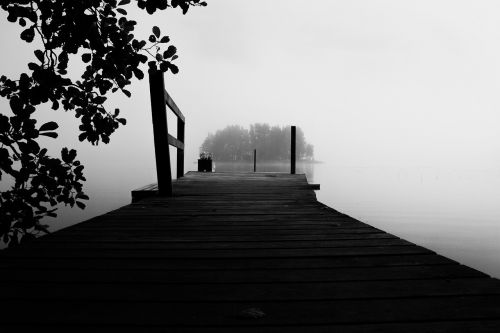 fog black and white summer