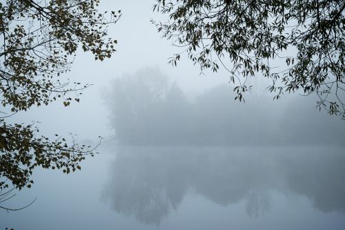 fog lake mysterious