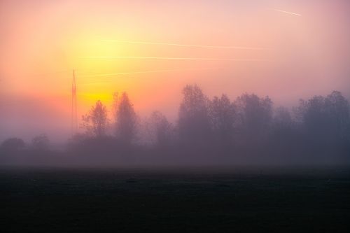 fog sun sunrise