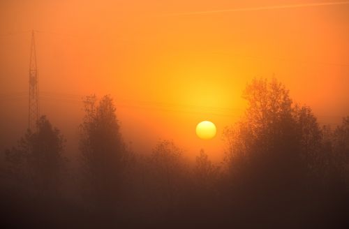 fog sun sunrise