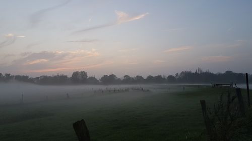 fog landscape dusk