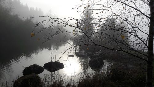 fog autumn landscape