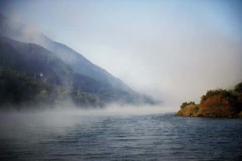 fog seomjin in autumn