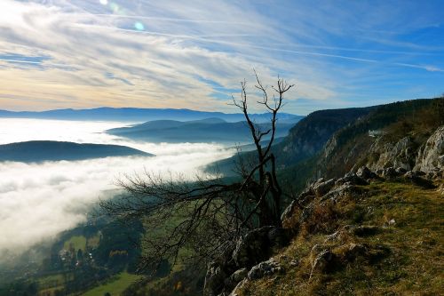 fog autumn landscape