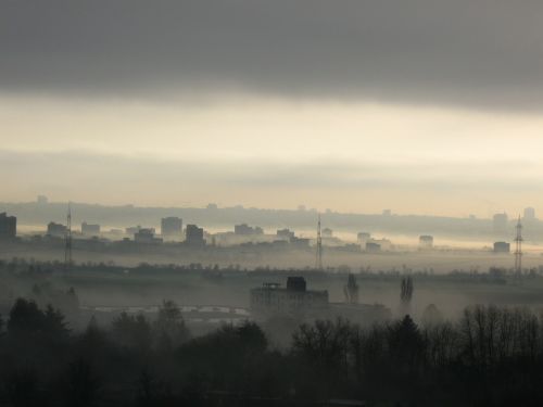 fog frankfurt nature
