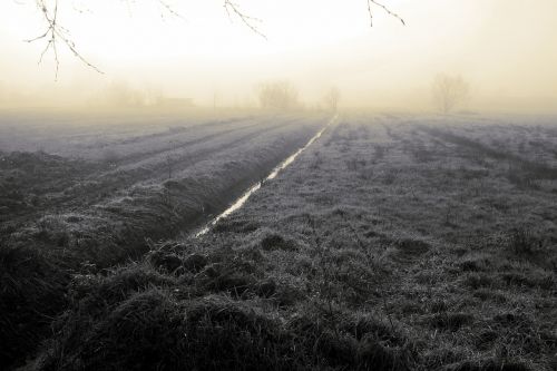 fog nature wide