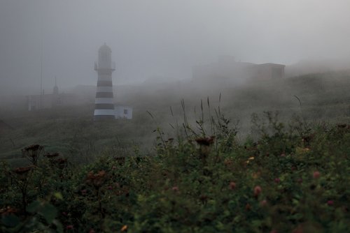 fog  nature  landscape