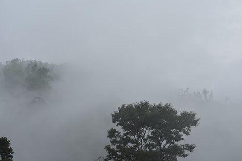 fog  nature  clouds