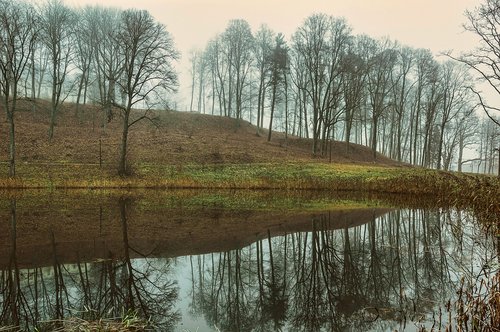 fog  autumn  park