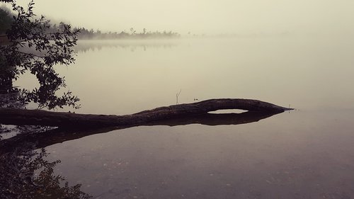 fog  lake  log