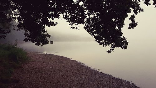 fog  lake  water