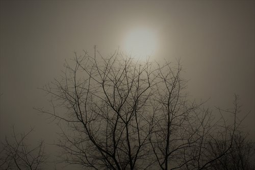 fog  foggy  landscape