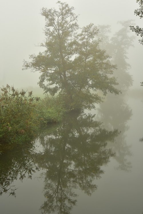 fog  river  bach