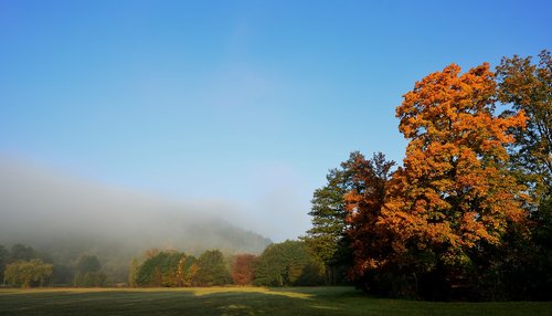 fog  morgenstimmung  sunrise