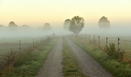 fog  haze  morning mist