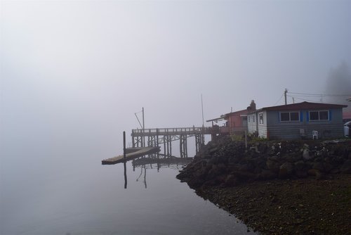 fog  morning  water