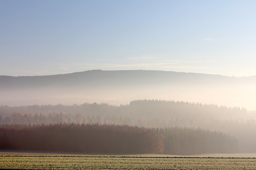 fog  autumn landscape  nature