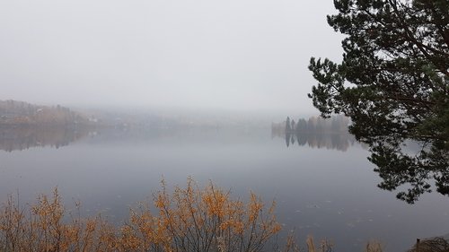 fog  norway  water