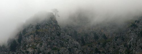 fog mountain nature reserve