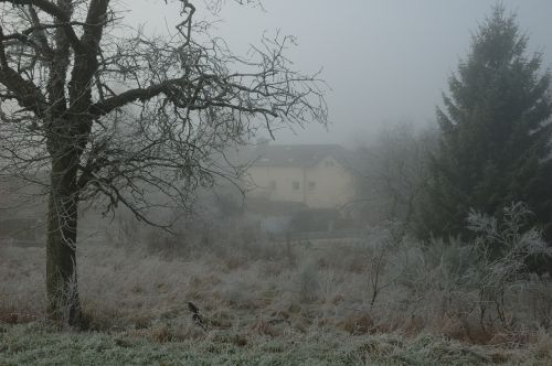 fog mist landscape