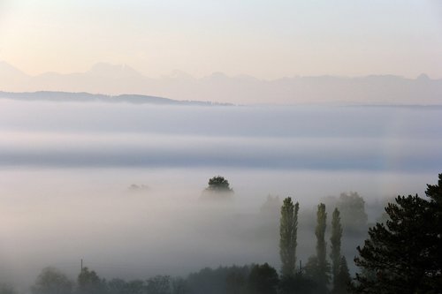 fog  autumn  landscape