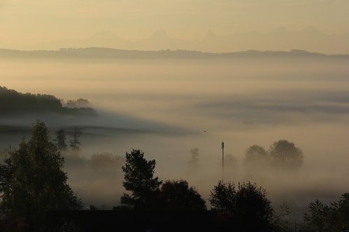 fog  mist  nature