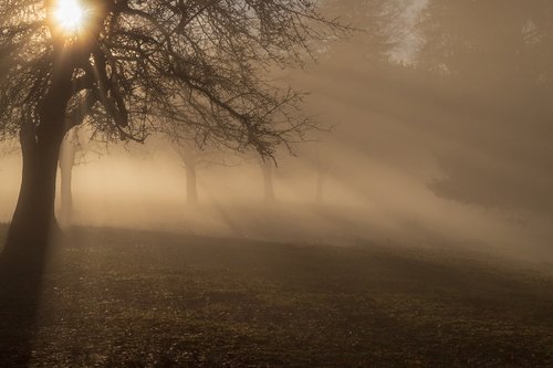 fog  ray of light  mood