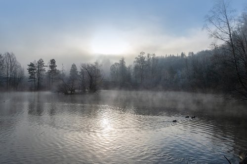 fog  lake  mist