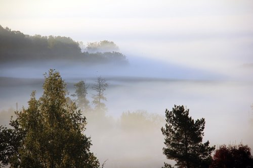 fog  mist  autumn