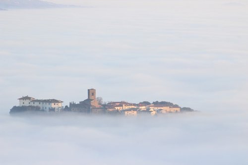 fog  town  nature