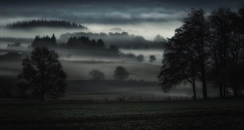 fog  valley  landscape