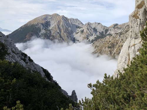 fog  mountains  landscape
