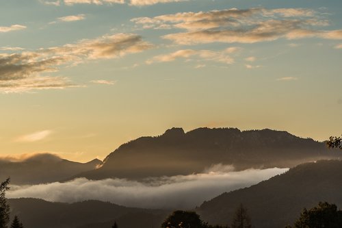 fog  mountains  alpine