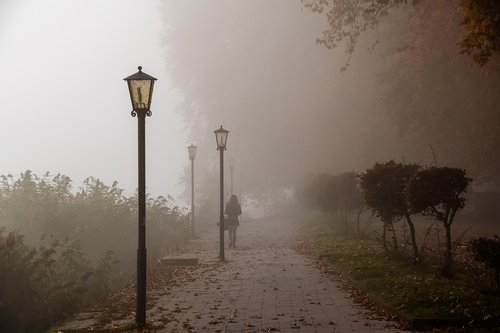 fog  woman  fantasy