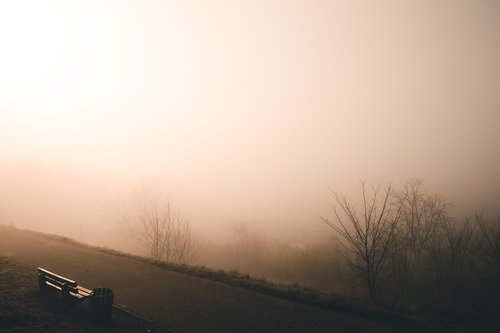 fog  landscape  sun