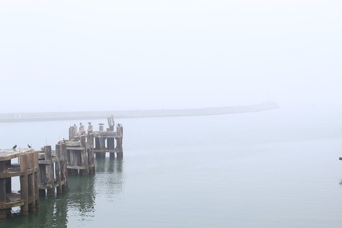 fog  landscape  water
