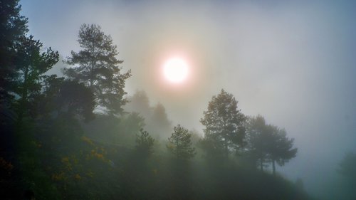 fog  meteorology  climate