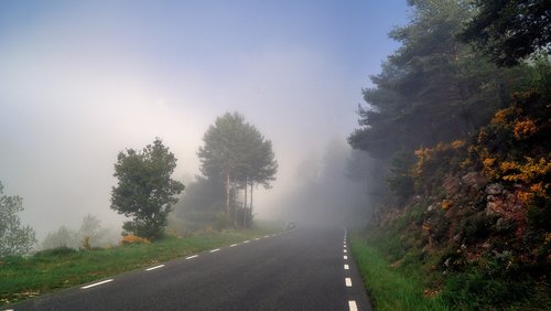 fog  meteorology  climate