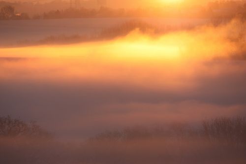 fog sun landscape