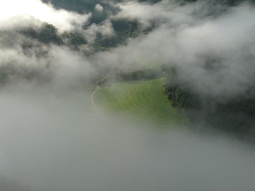 fog field meadow