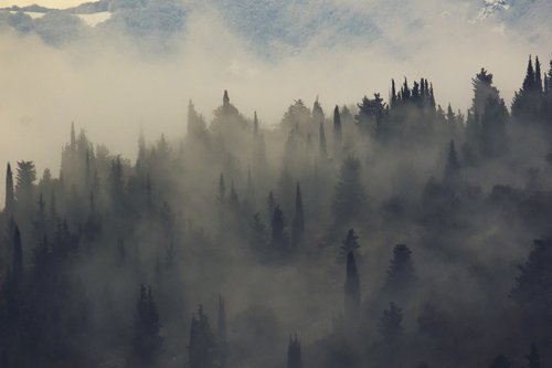 fog  foggy  hills