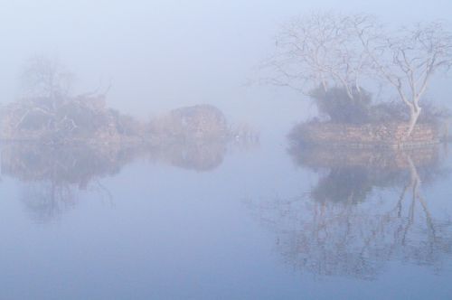 fog mist lake