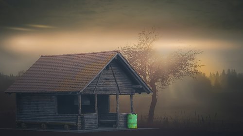 fog  hut  nature