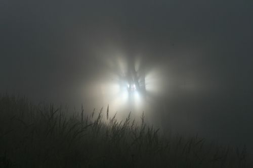 fog sun atmospheric