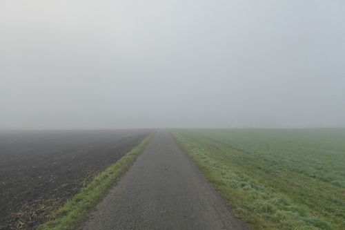 fog arable meadow