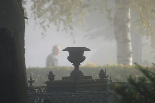 fog cemetery light