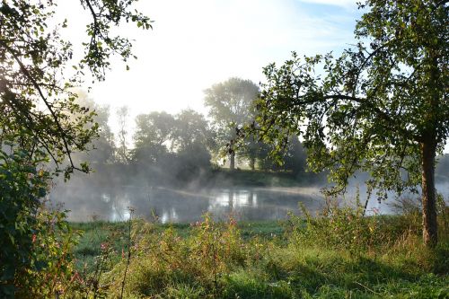 fog nature river