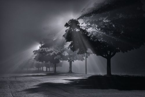fog light beams