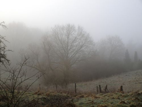 fog morning sunrise