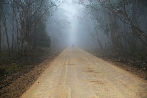 fog mist road